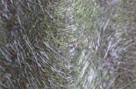 North Houghton fibreglass roof work